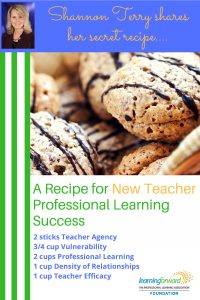 Image for aesthetic effect only - Holiday-recipe-new-teacher-professional-learning-success